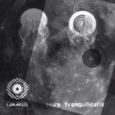 Lunarsis - Imbrium