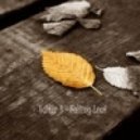 Valter B - Falling Leaf (Original mix)