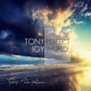 Tony Igy - Perfect world