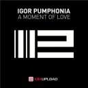 Igor Pumphonia - A Moment Of Love