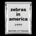 Graves & Felmax - Zebras In America