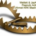 Wellski & JayKode - Peanutz Action (Ahmet KRK Mashup 2015)
