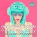 Andrey Exx, Troitski & I-One feat. Casey - The Sound of Goodbye