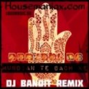 Panjabi MC - Mundian To Bach Ke