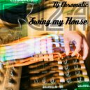 Dj Chromatic - Swing my House