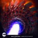Insect Elektrika - In The Book Of Violence And Promissed (Original Mix)