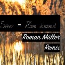 Seiler und Speer - Ham Kummst (Roman Müller Remix)