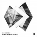 Telstar - Dirty Vengeance (Original Mix)