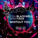 Miss Babayaga DJ, Dj Josh Blackwell - Without You