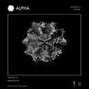 Stefano Rocchi - Collective (Original mix)