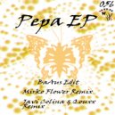BaAus - Pepa (Javi Colina & Quoxx Remix)