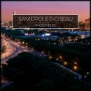 Sam Drole D Oiseau - O 80 (Original Mix)