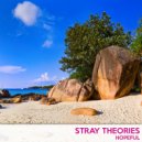 Stray Theories - Reflections