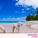 Dualtrx - No Questions Asked