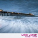 Harry Lintott - The Comedown