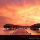 Nativ - Introspeccion (Original Mix)