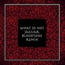 What So Not - Jaguar