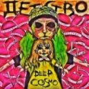 DeepCosmo - Det-S-Tvo
