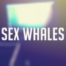 Sex Whales & Phantom Sage - One Day