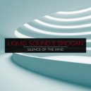 Liquid Sound & Shogan - All the Colors of the Sun