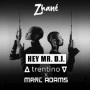 Zhane - Hey Mr. DJ (∆ trentino ∆ & Marc Adams revision)