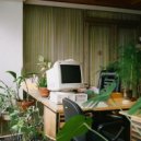 Flamingosis - Windows 95 N' Chill