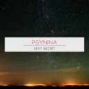 PsyNina - Interstellar Matrix