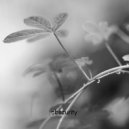obscurity - Mint