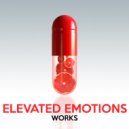 Elevated Emotions - Afternoon Motions