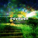 PsyKush - Next Planet (Original Mix)