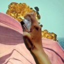 POLO - Holdyrself