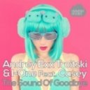 Andrey Exx, Troitski & I-One Feat. Casey - The Sound Of Goodbye