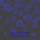 Tim Sobolev - Funky House