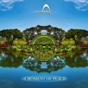 Terrasun - Move And Feeling ()