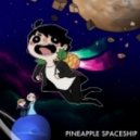 Nanobii - Pineapple Spaceship