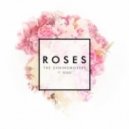 Chainsmokers - Roses (Adam Foster Remix)