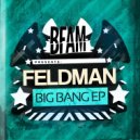 Feldman - How We Party