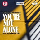 Mr.Vaulin & Svet feat. Barclay - You're not alone