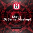 Childsplay vs. Adaptiv - Shotje (Dj Garnet Mashup)