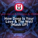 Calvin Harris & Disciples & NEDDO - How Deep Is Your Love & The Wolf (DJ Shanson Mash UP)