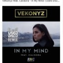 Vekonyz - In My Mind (Used Disco Remix)