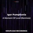 Igor Pumphonia feat. Vadim Danilenko - A Moment Of Love