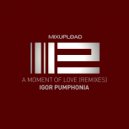 Igor Pumphonia feat. Vadim Danilenko - A Moment Of Love