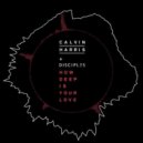 Calvin Harris & The Disciples - How Deep Is Your Love