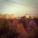 Cj RcM - Autumn