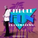Pitbull ft. Chris Brown - FUN
