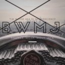 Tim Wayne aka DJ SoundScience - BWM