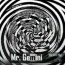 Mr. Gemini - Me and My