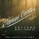 A R I Z O N A - Where I Wanna Be (James Carter & Levi Remix)