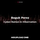 Baguk Perez - Cyber-Nation in Hibernation